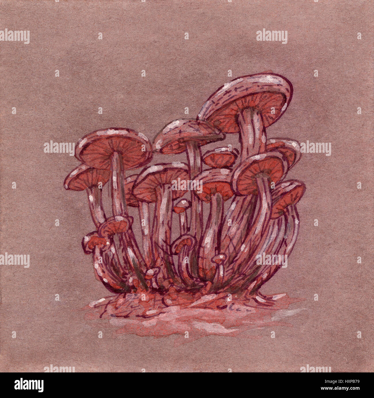 Fantasia di funghi cluster. Inchiostro e gouache disegno su carta. Foto Stock