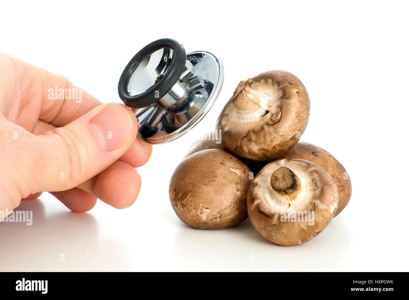 I funghi sono esaminati con Stethoskop, Pilze werden mit Stethoskop untersucht Foto Stock