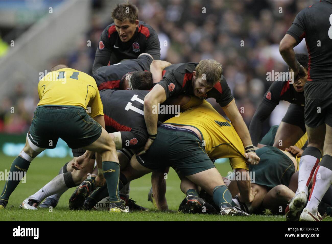 TOM CROFT BEN ROBINSON INGHILTERRA V AUSTRALIA RU ENGLAND V AUSTRALIA RU TWICKENHAM MIDDLESEX INGHILTERRA 13 Novembre 2010 Foto Stock