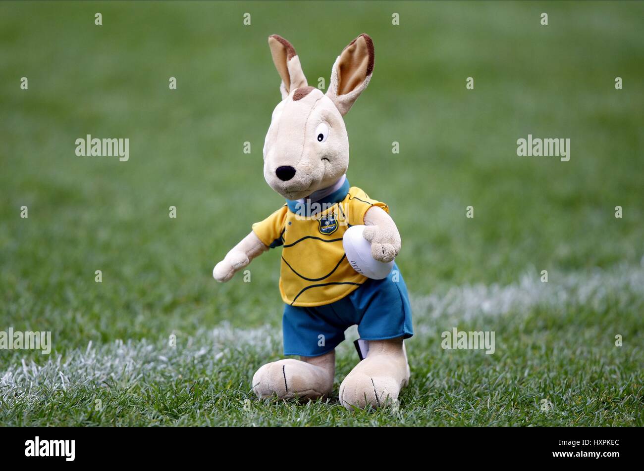 WALLY AUSTRALIA RUGBY AUSTRALIA mascotte mascotte di rugby di Twickenham MIDDLESEX INGHILTERRA 13 Novembre 2010 Foto Stock