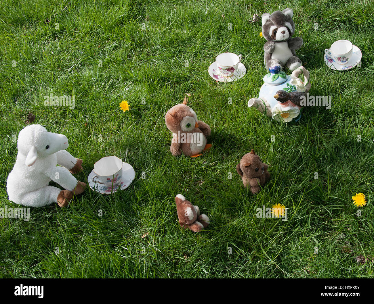 Un peluche tea party Foto Stock