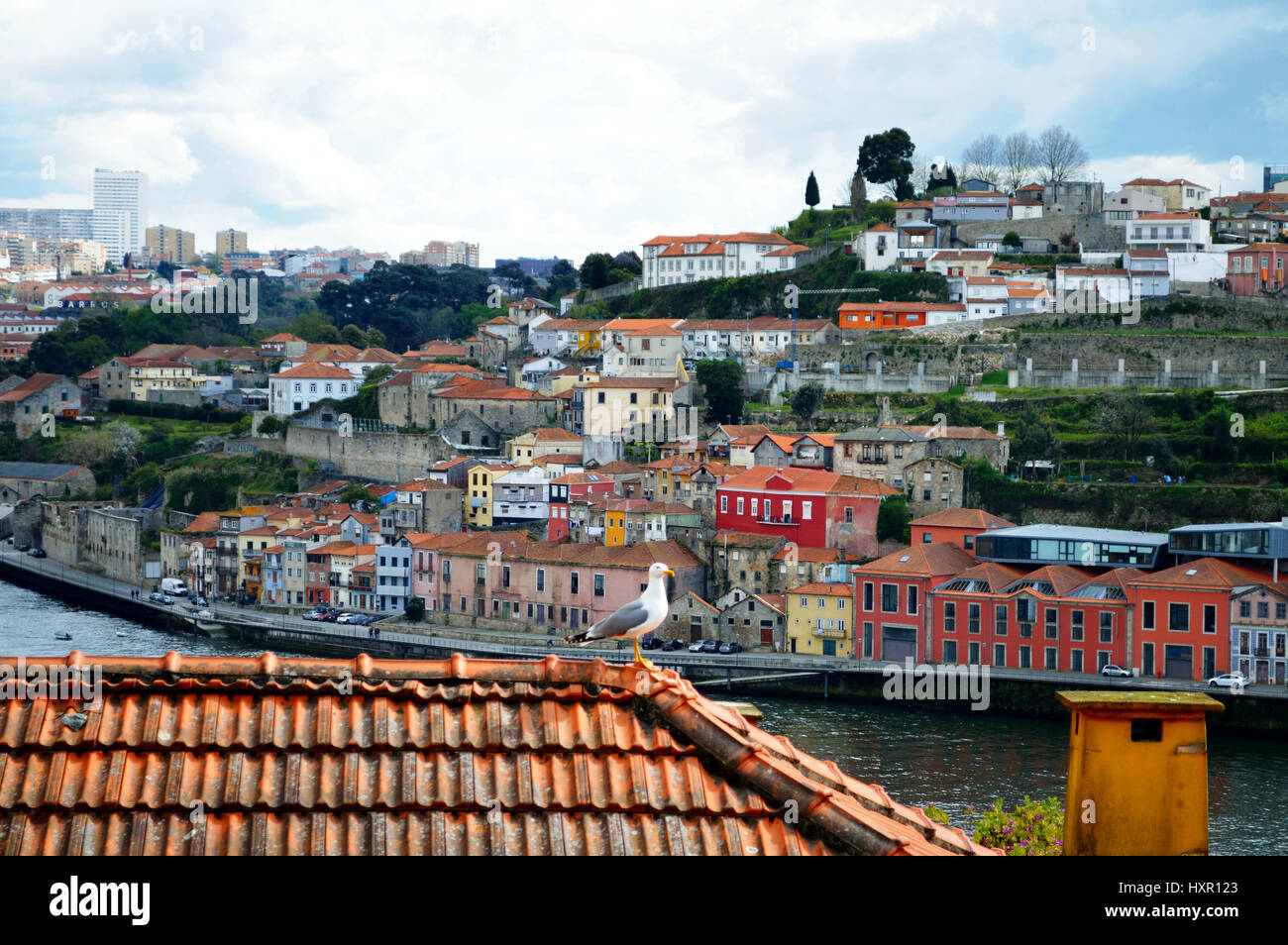 Case colorate lungo il fiume Duoro a Porto nel 2017, cityscape, Portogallo Foto Stock