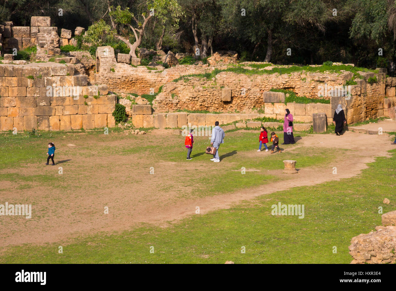 Rovine dell'anfiteatro a Tipaza/Tipasa parco archeologico, Algeria. Foto Stock