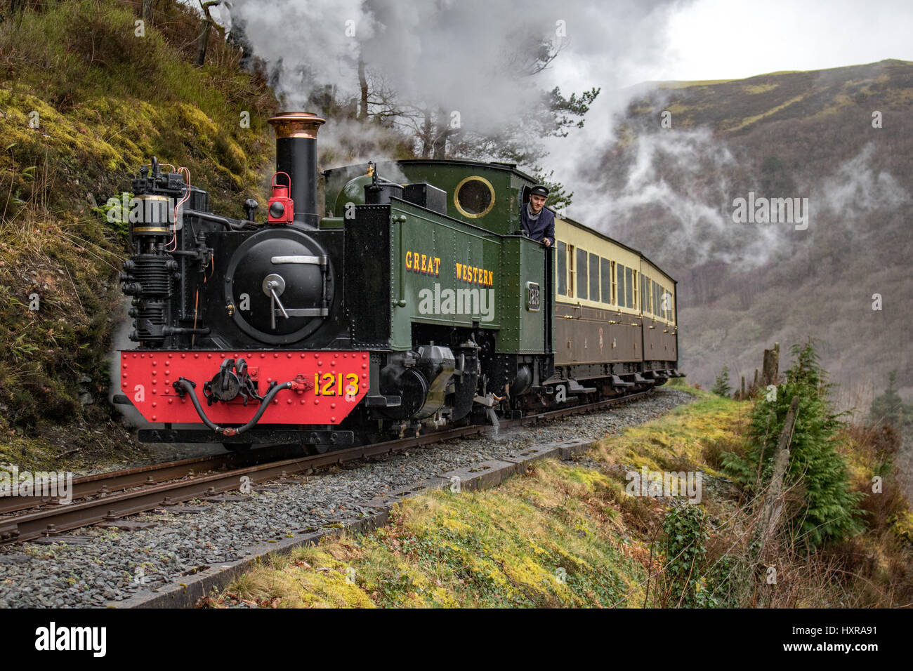 Vale del Rheidol Foto Stock