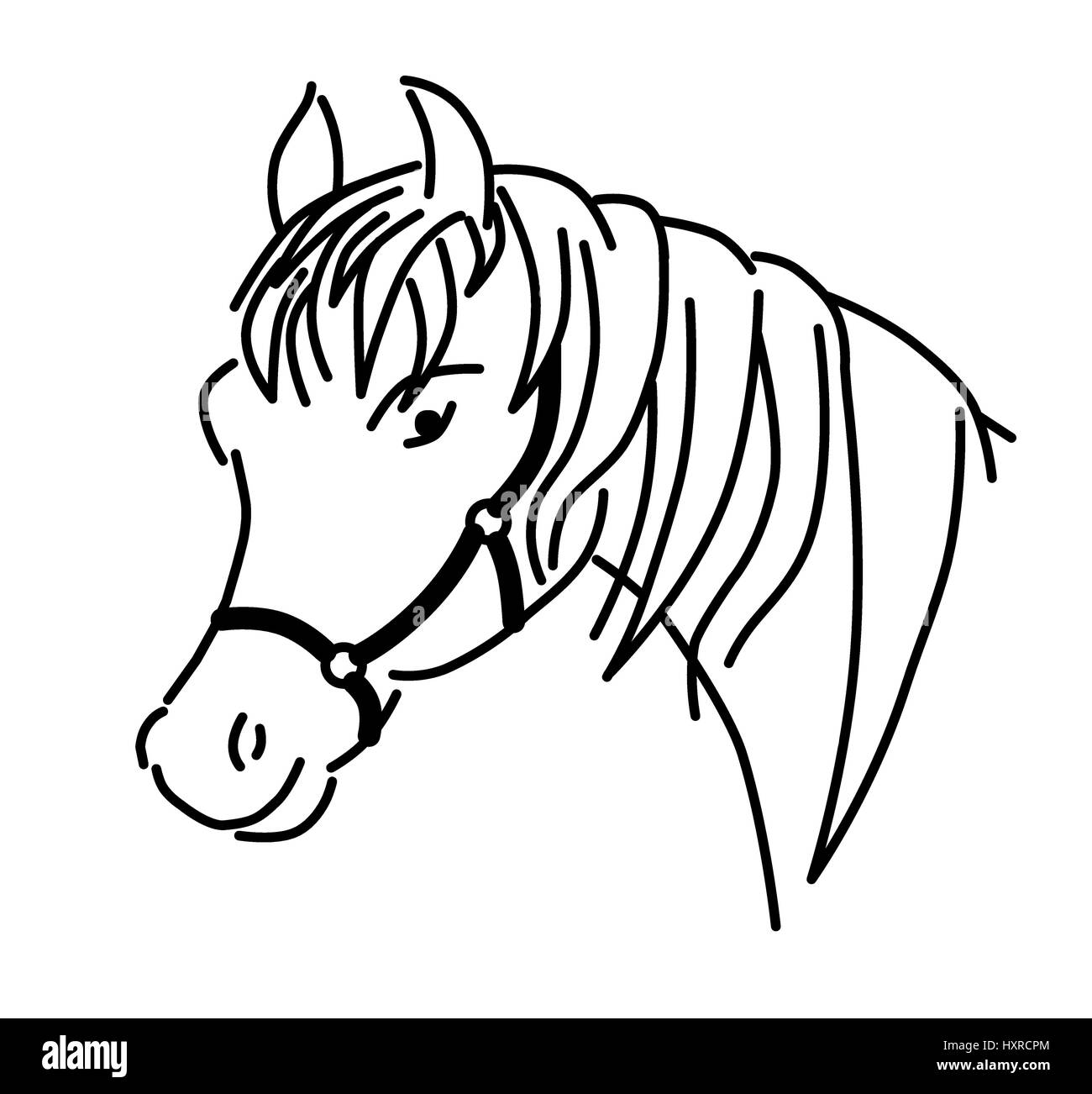 Delineato della testa di cavallo con vettore di cablaggio, illustrazione Illustrazione Vettoriale