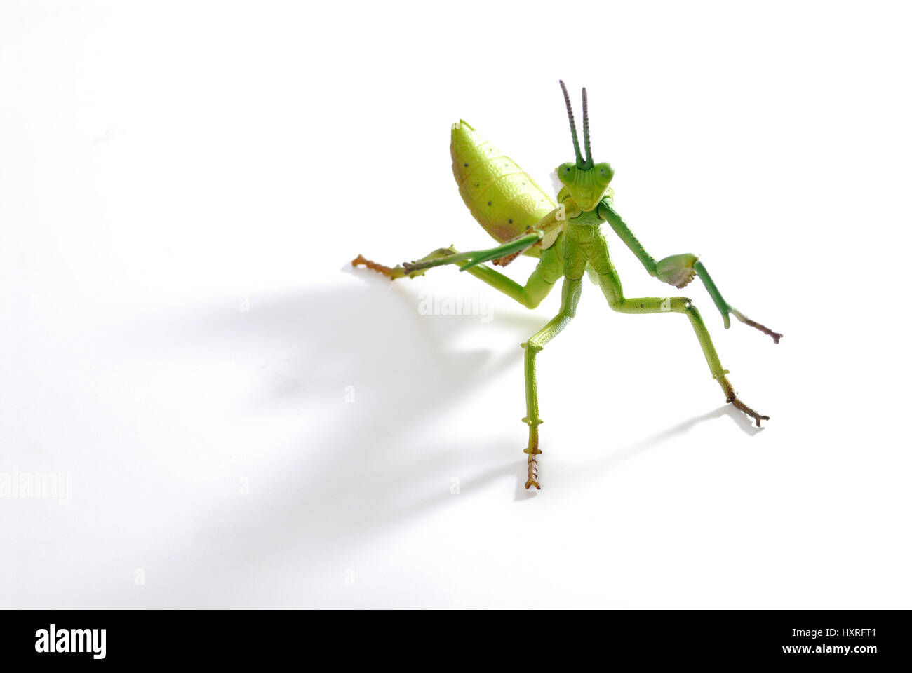 Giocattoli grasshopper, hedge fund, Spielzeug-Heuschrecke, Hedge-Fonds Foto Stock