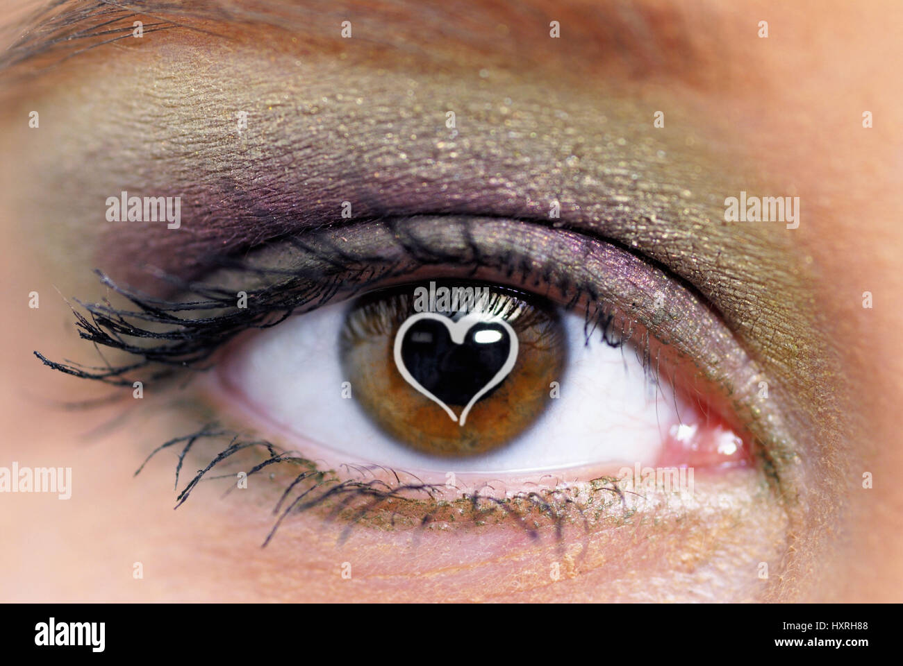 Donna Donne, occhio, occhi, marrone, marrone, fatta, costituito per il make-up, ombretto, ciglia, iridi, Close-Up, Close-Ups, close-up close-up, luminosamente, c Foto Stock