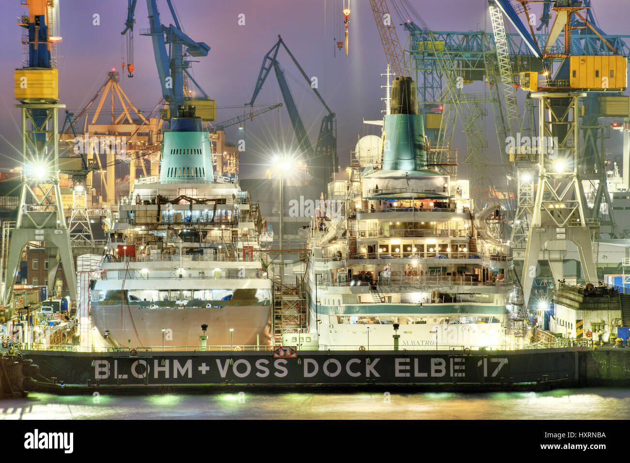 Le navi da crociera MS Amadea e albatross MS nel bacino a secco l'Elba 17 di Blohm Voss e nel porto di Amburgo ad Amburgo, Germania, Europa, Die Kreu Foto Stock