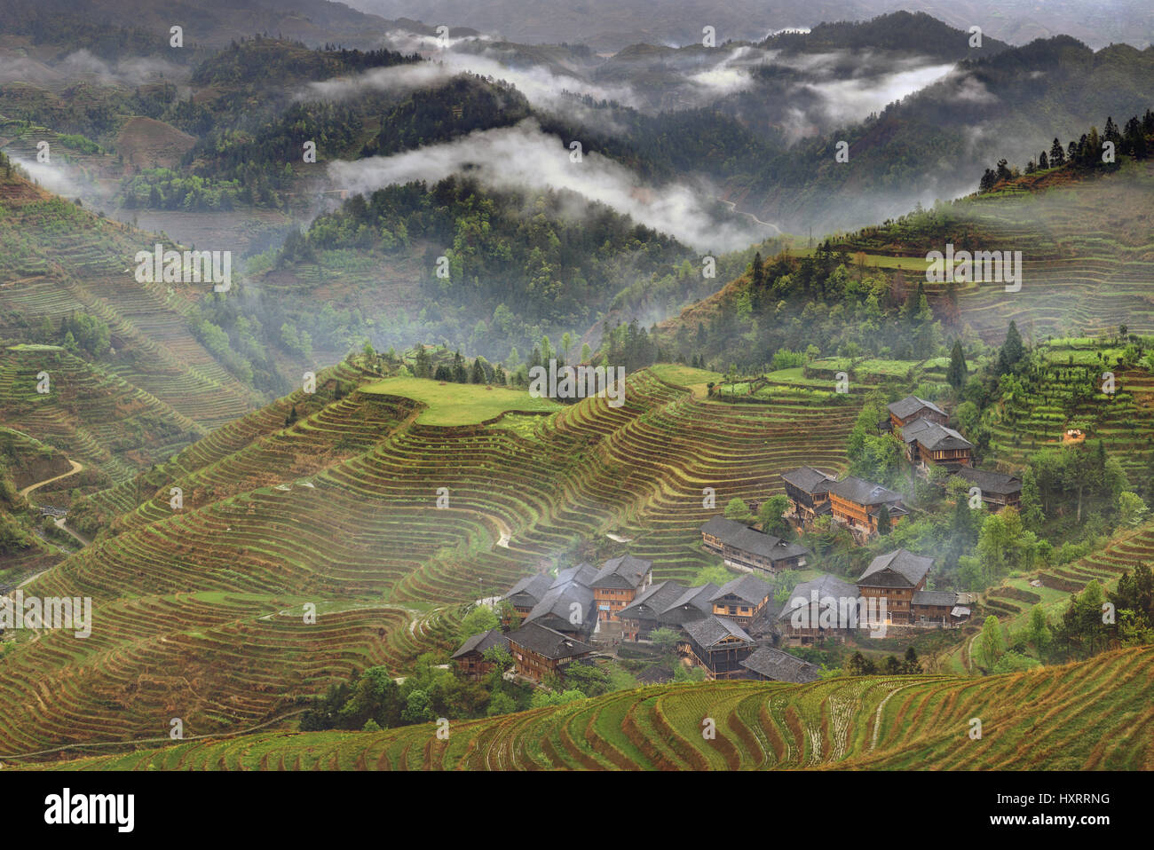 Yao Villaggio Dazhai, Longsheng, vicino alla città di Guilin, provincia di Guangxi, Cina - 5 Aprile 2010: terrazze di riso negli altipiani del sud-ovest della Cina, lontano Foto Stock