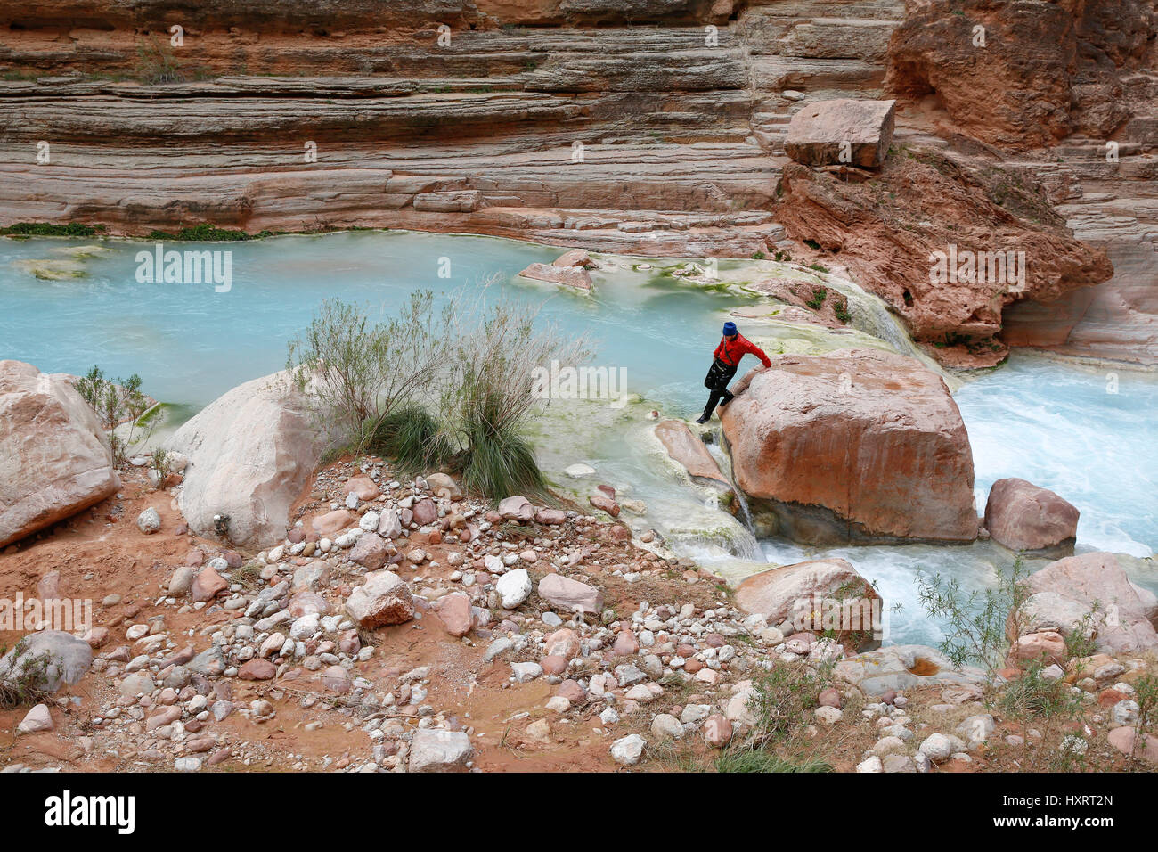 Un escursionista in Havasu Creek, il Parco Nazionale del Grand Canyon, Arizona, Stati Uniti. Foto Stock