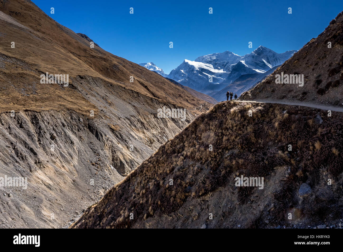 Gruppo di 3 escursionisti nel circuito di Annapurna Foto Stock