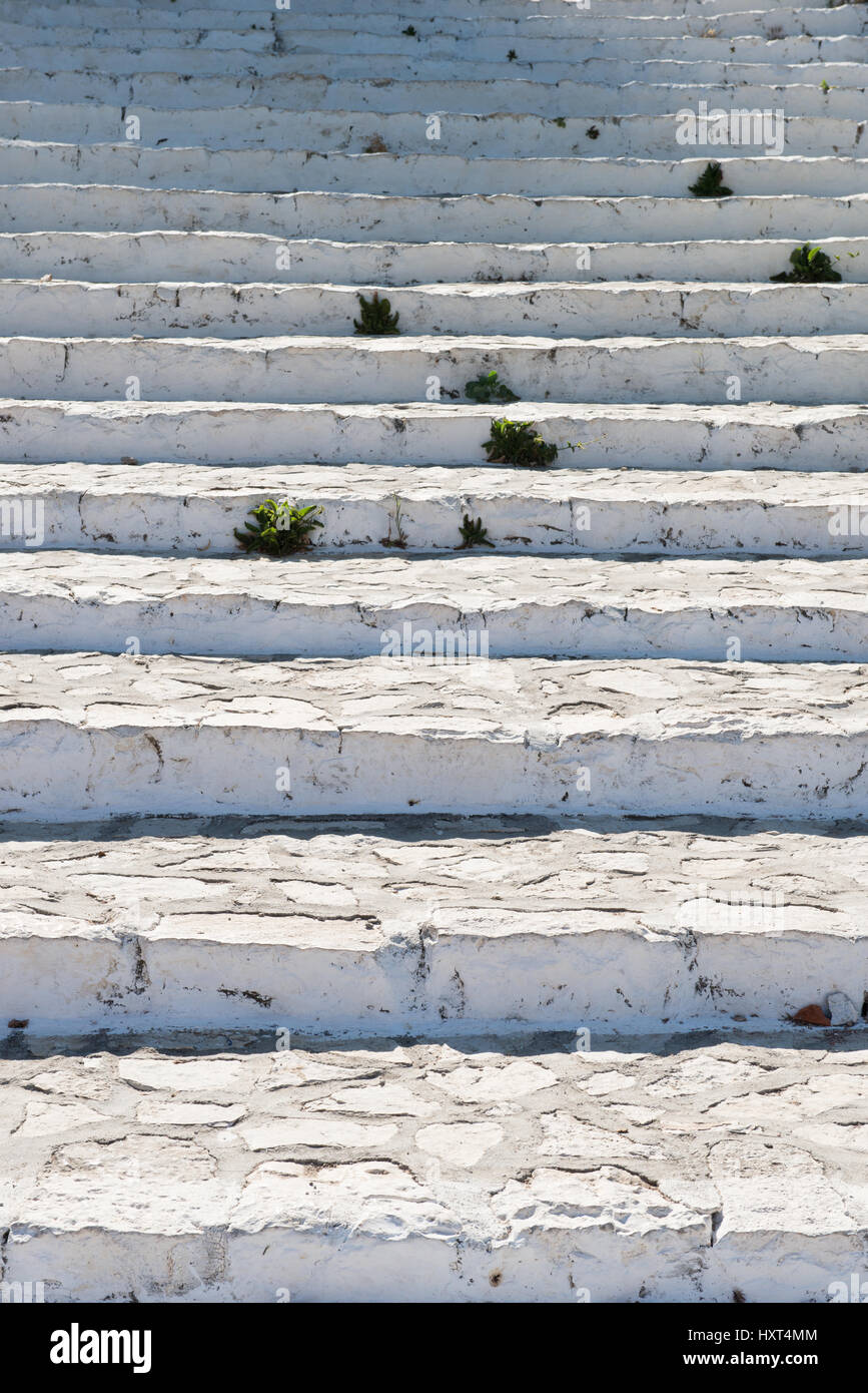 Antike weißgestrichene Steintreppe mit einzelnen Grasbüscheln, Insel Kastellorizo, Dodekanes, Griechenland Foto Stock