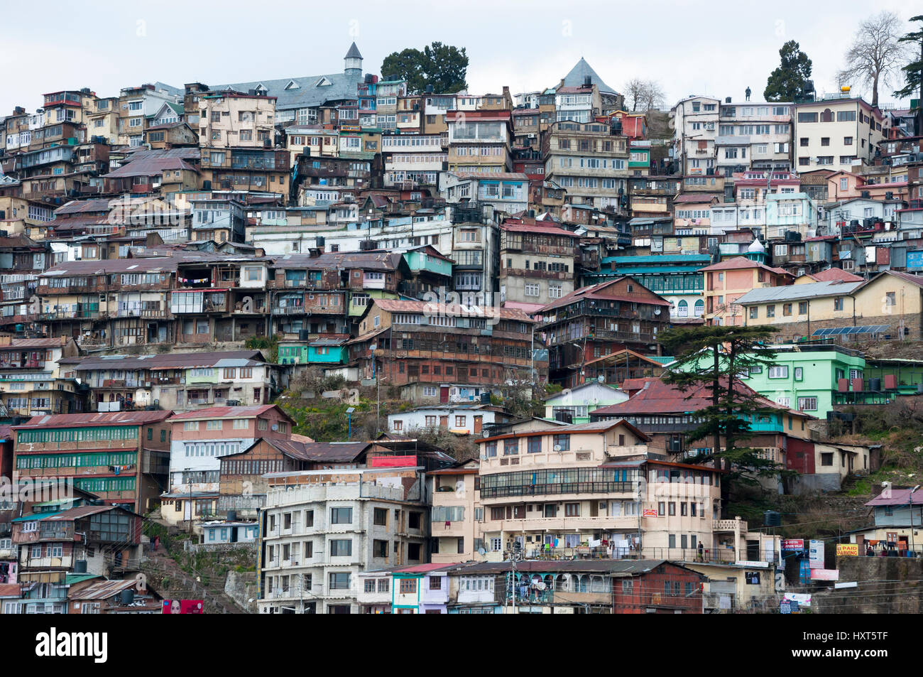 Alloggiamento affollata sulla collina in Shimla, Himachal Pradesh, India. Foto Stock