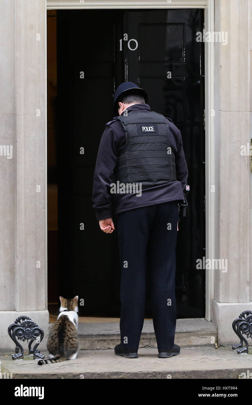 A Downing Street, Londra. Regno Unito 29 Mar 2017 - Polizia offier consente a dieci anni, Larry, Chief Mouser interno n. 10 di Downing Street. Credito: Dinendra Haria/Alamy Live News Foto Stock