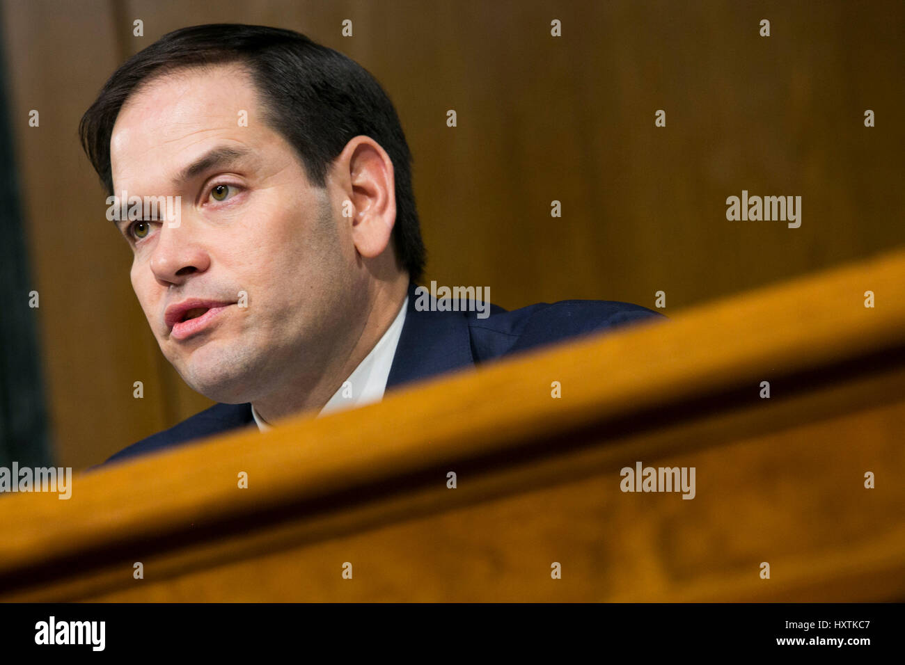 Washington DC, Stati Uniti d'America. Il 31 marzo 2017. Il senatore Marco Rubio (R-FL), partecipa a un Senato Comitato di selezione sulla Intelligence audizione sul russo attività di Intelligence durante le elezioni americane a Washington D.C. il 30 marzo 2017. Credito: Kristoffer Tripplaar/Alamy Live News Foto Stock