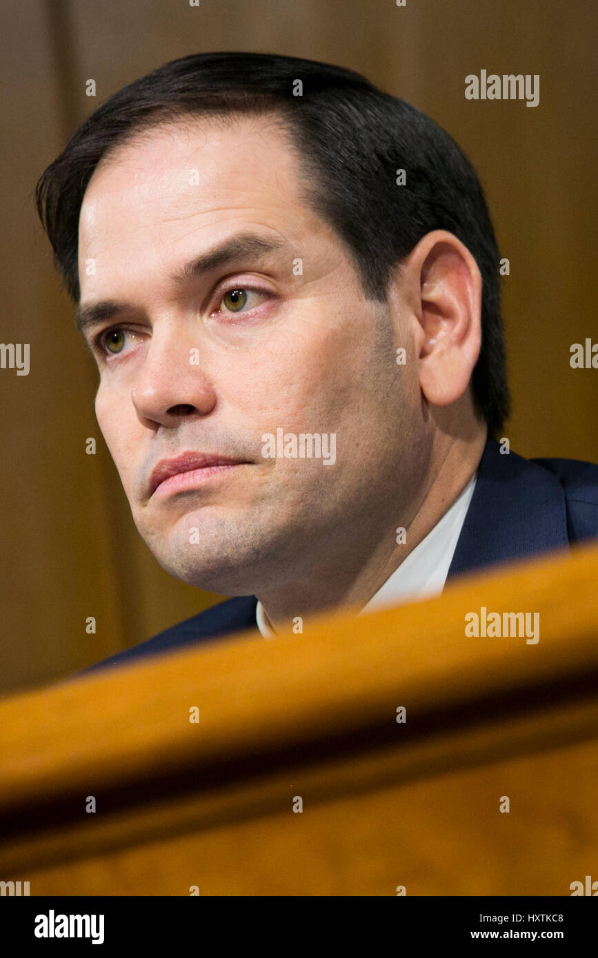 Washington DC, Stati Uniti d'America. Il 31 marzo 2017. Il senatore Marco Rubio (R-FL), partecipa a un Senato Comitato di selezione sulla Intelligence audizione sul russo attività di Intelligence durante le elezioni americane a Washington D.C. il 30 marzo 2017. Credito: Kristoffer Tripplaar/Alamy Live News Foto Stock