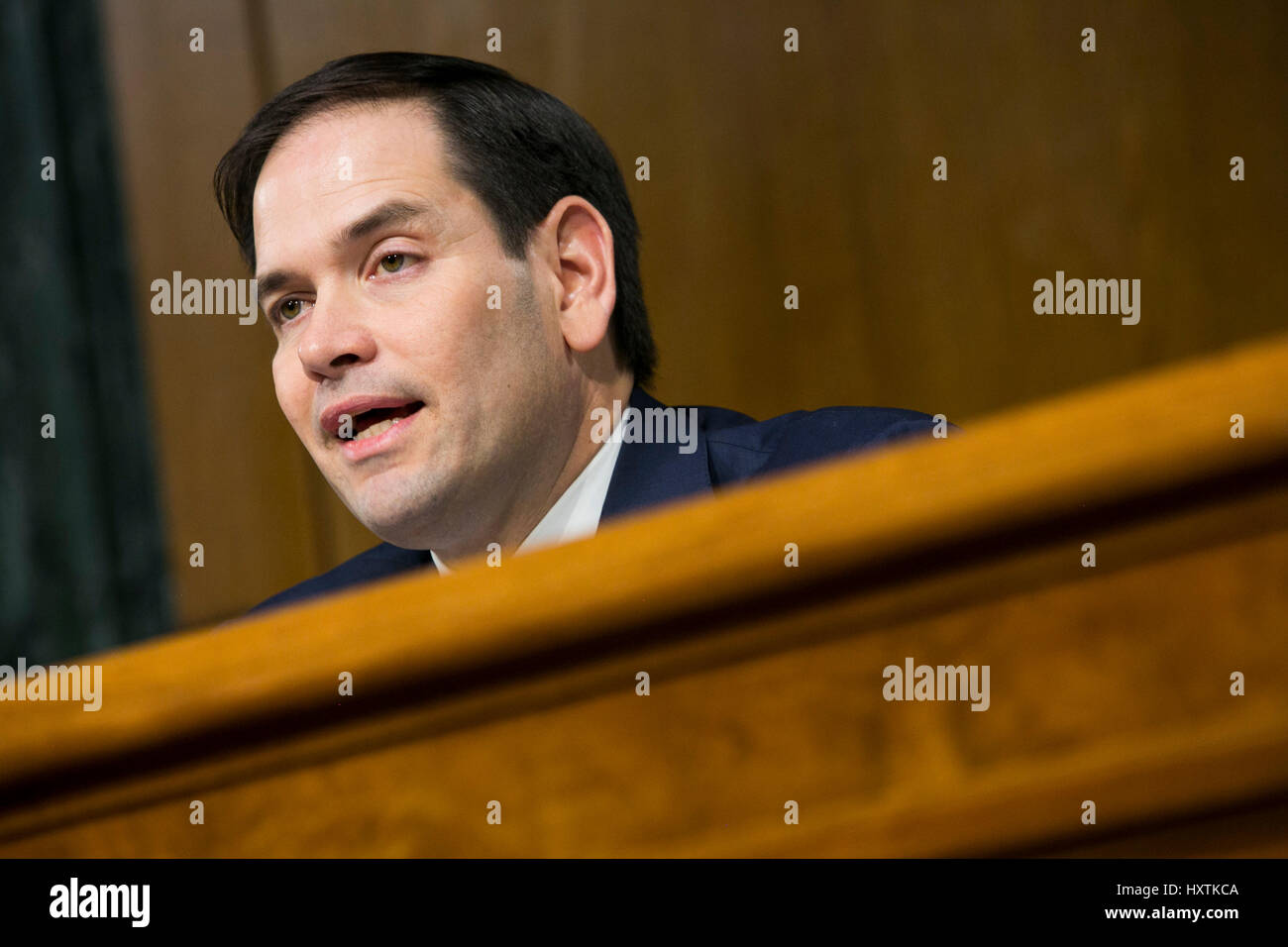 Washington DC, Stati Uniti d'America. Il 31 marzo 2017. Il senatore Marco Rubio (R-FL), partecipa a un Senato Comitato di selezione sulla Intelligence audizione sul russo attività di Intelligence durante le elezioni americane a Washington D.C. il 30 marzo 2017. Credito: Kristoffer Tripplaar/Alamy Live News Foto Stock