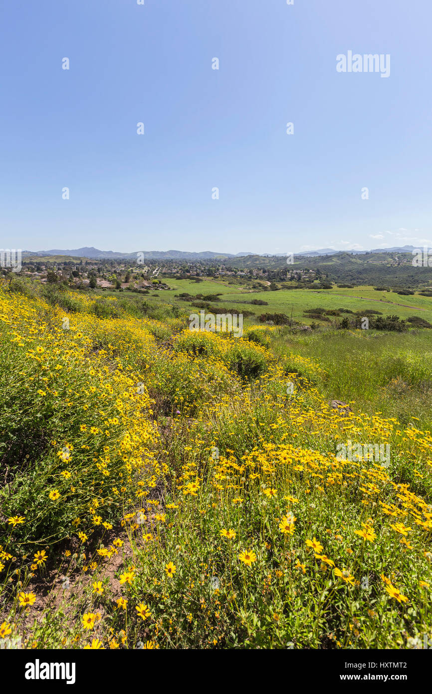 Prato primavera in Wildwood Parco Regionale in Thousand Oaks comunità di Ventura County, California. Foto Stock