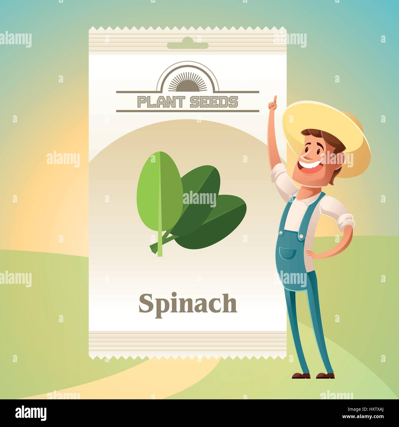 Pack di spinaci icona semi Illustrazione Vettoriale