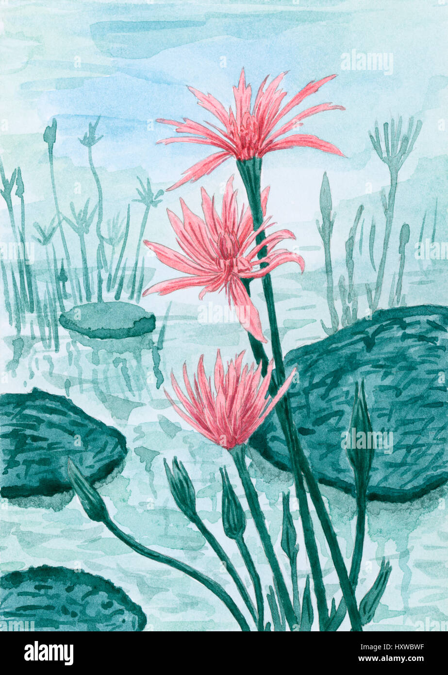Fantasy fiori rossi sulla superficie dell'acqua con foglie e piante.  Acquerello su carta Foto stock - Alamy
