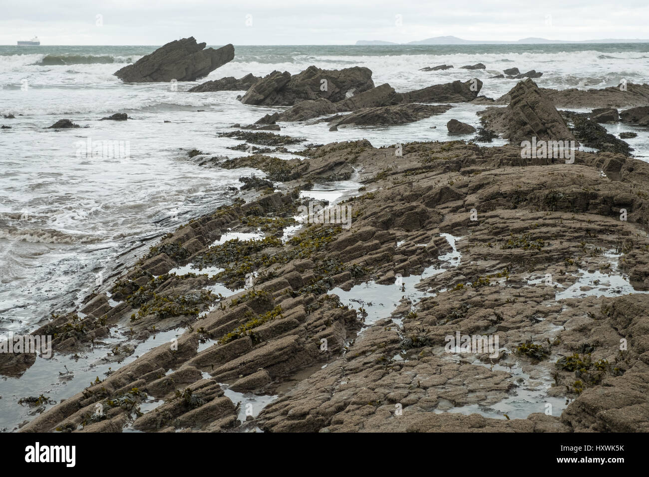 Barnacle incrostati di rocce di Broadhaven, Pembrokeshire, con navi a vela a Milford Haven sull orizzonte. Foto Stock