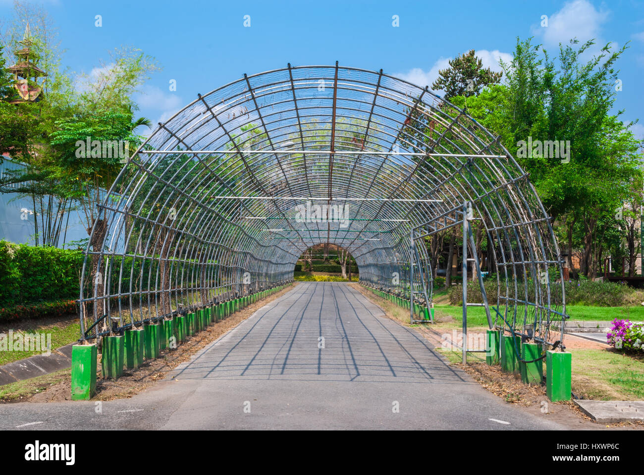 Arco in metallo ingresso con asfalto di cammino per decorare pianta o fiore Foto Stock