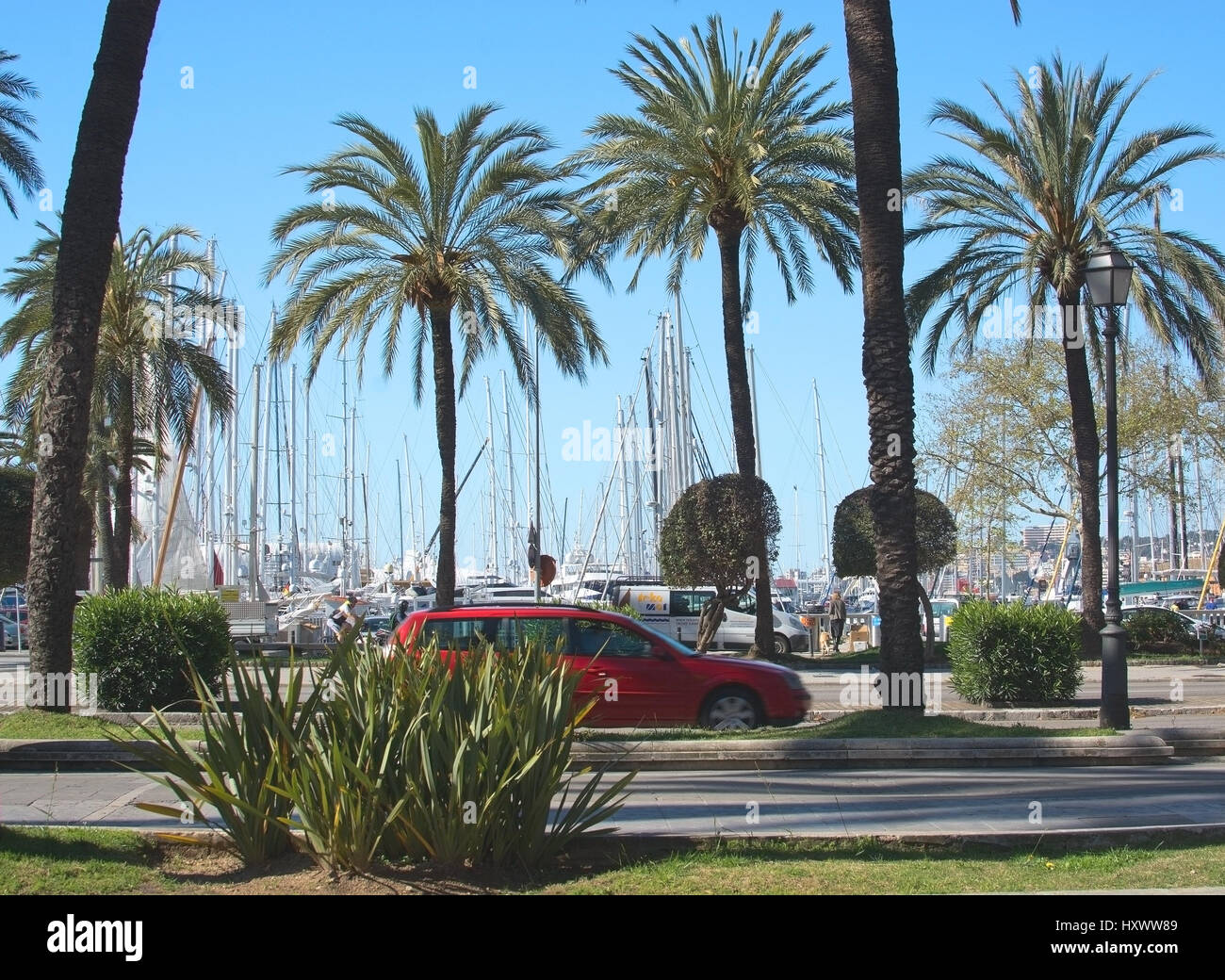 PALMA di Maiorca, isole Baleari, Spagna - 29 Marzo 2017: Paseo Maritimo traffico, palme e marina il 29 marzo 2017 a Palma di Maiorca, Baleari Foto Stock