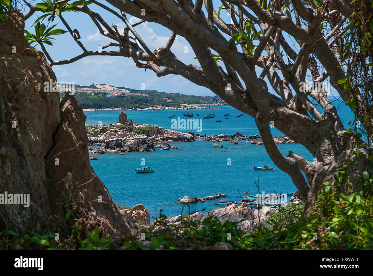 Alberi e il blu del mare in Vietnam Foto Stock