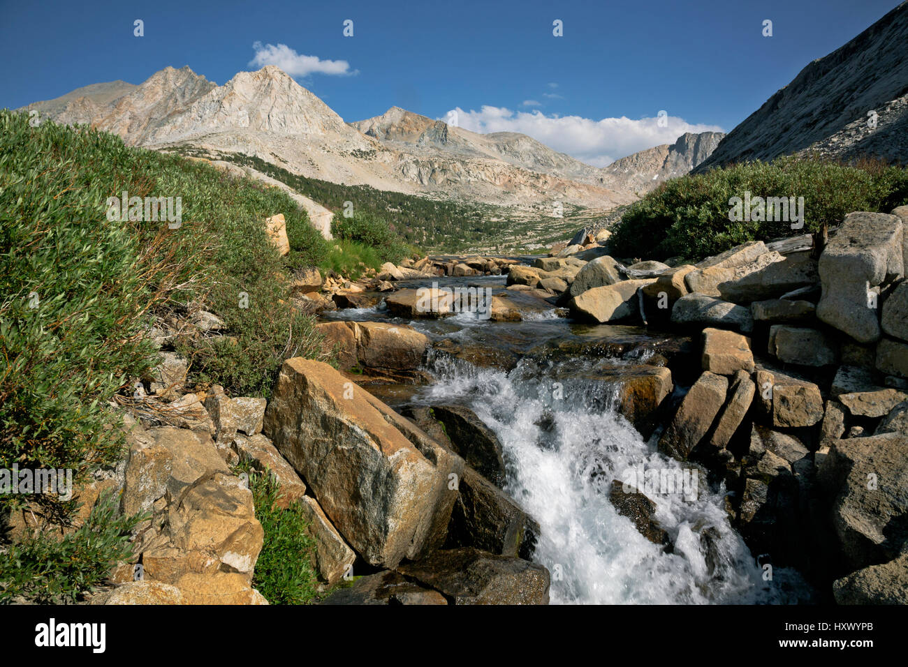 CA03133-00...CALIFORNIA - piccola cascata sulla palizzata Creek lungo la JMT/PCT in Sequoia e Kings Canyon Wilderness. Foto Stock