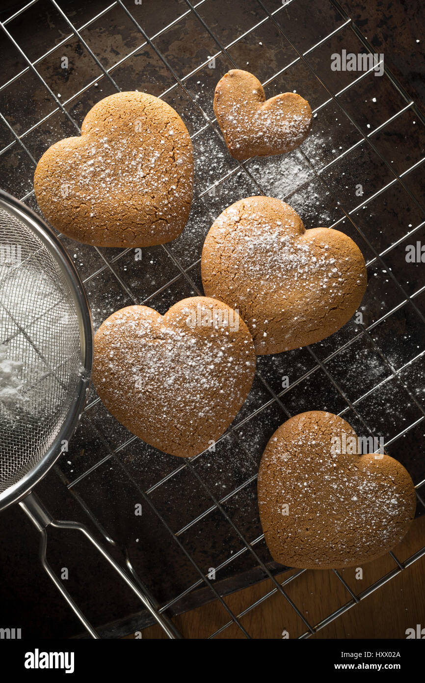 Appena fatti cuore di panpepato cookie dopo che essi sono stati spolverato con zucchero a velo su un vassoio da forno Foto Stock