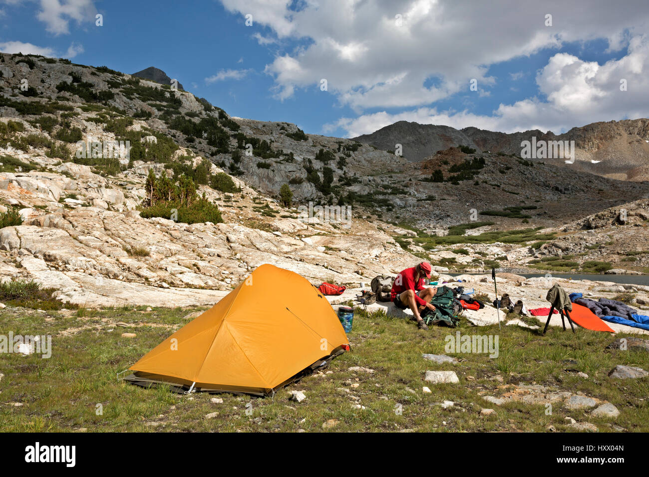 CA03139-00...CALIFORNIA - Essiccazione fuori dopo una notte umida vicino al lago di Marjorie lungo il combinato JMT/PCT in King Canyon National Park. Foto Stock