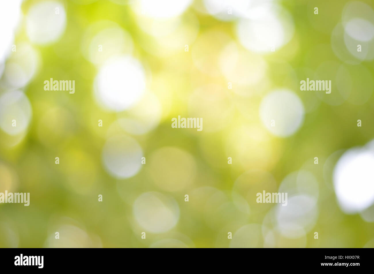 Abstract la sfocatura bokeh di fondo di natura verde Foto Stock