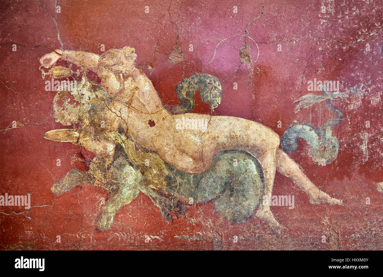 Affresco romano la pittura murale di una nereide giacente su un mare panther, triclinio, Villa Arianna , Stabiae vicino a Pompei , inv 8870, Napoli Museo Nazionale Foto Stock