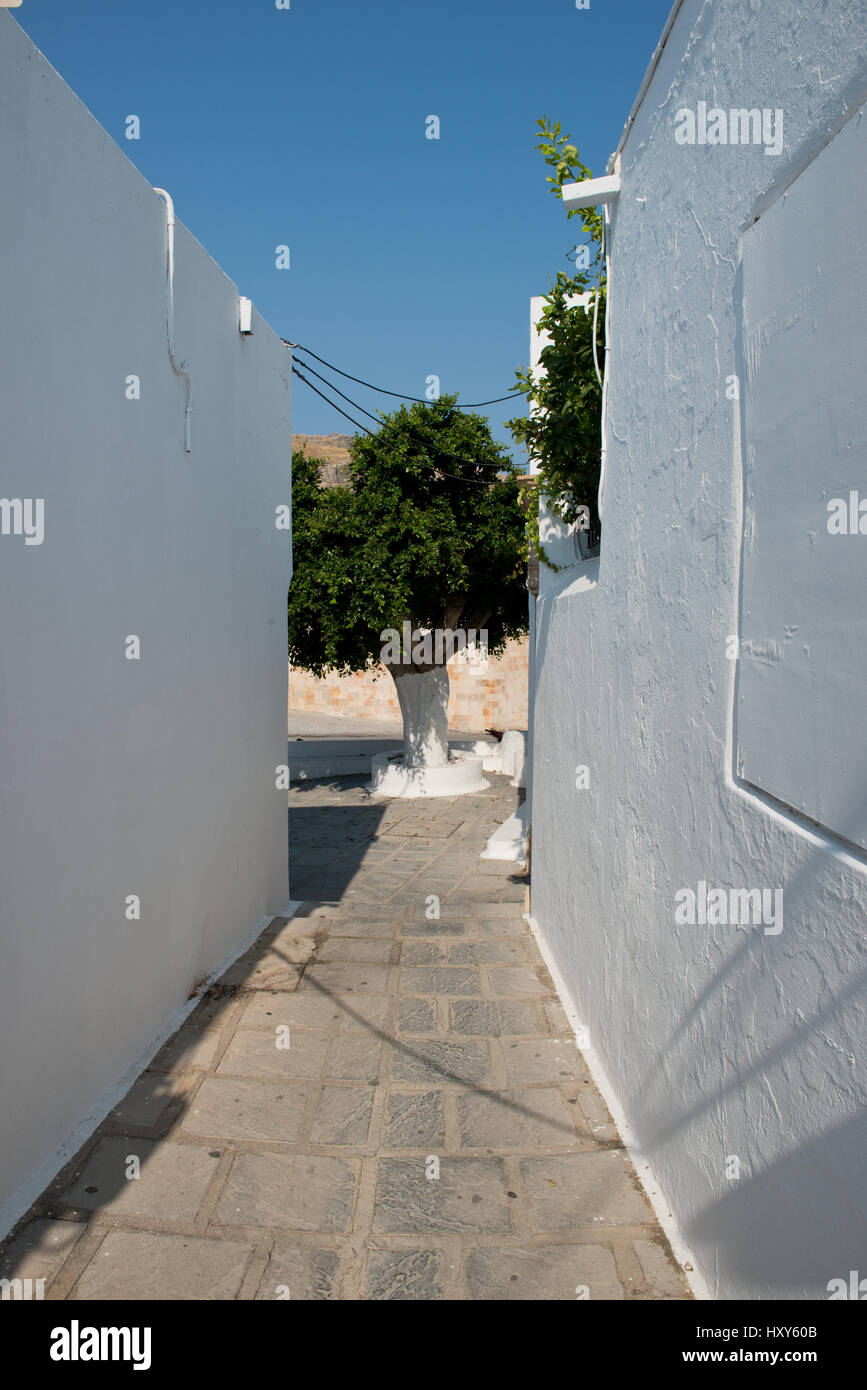 Un norrow lane in tra di case bianche si apre in una piazza del villaggio con un albero, Lindos, Rodi, Grecia Foto Stock