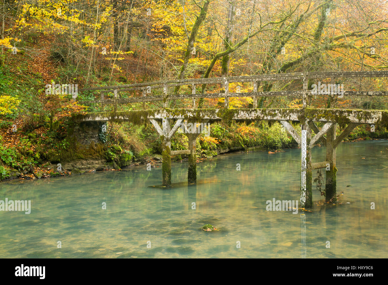 Passerella sul fiume Lison a Source du Lison, Doubs, Franche-Comté, Francia Foto Stock