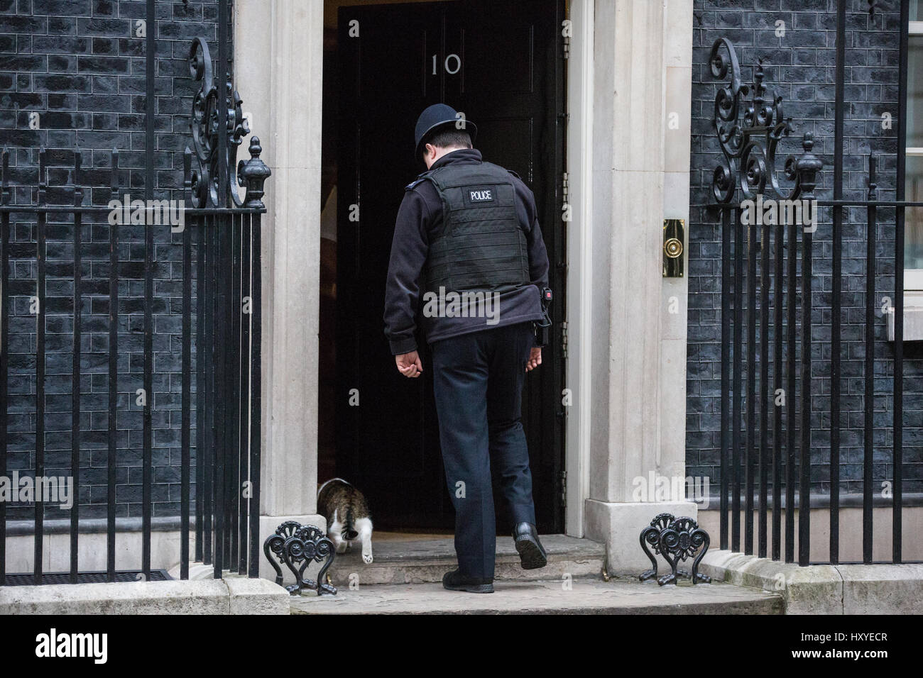 Londra, Regno Unito. Il 30 marzo, 2017. Un funzionario di polizia consente a Larry, Chief Mouser al Cabinet Office, in 10 di Downing Street. Foto Stock
