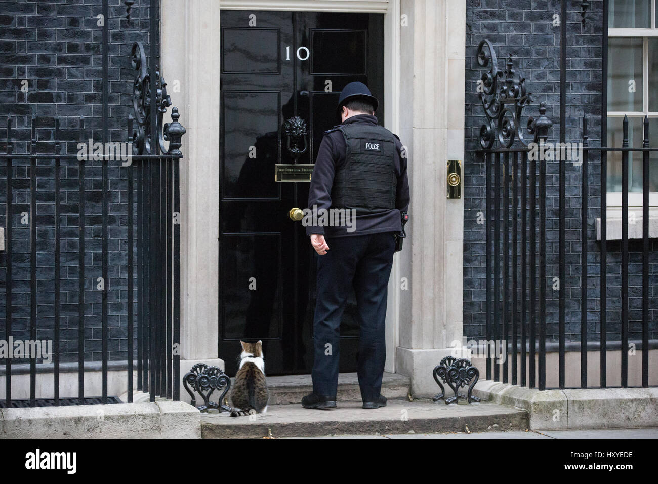 Londra, Regno Unito. Il 30 marzo, 2017. Un funzionario di polizia consente a Larry, Chief Mouser al Cabinet Office, in 10 di Downing Street. Foto Stock