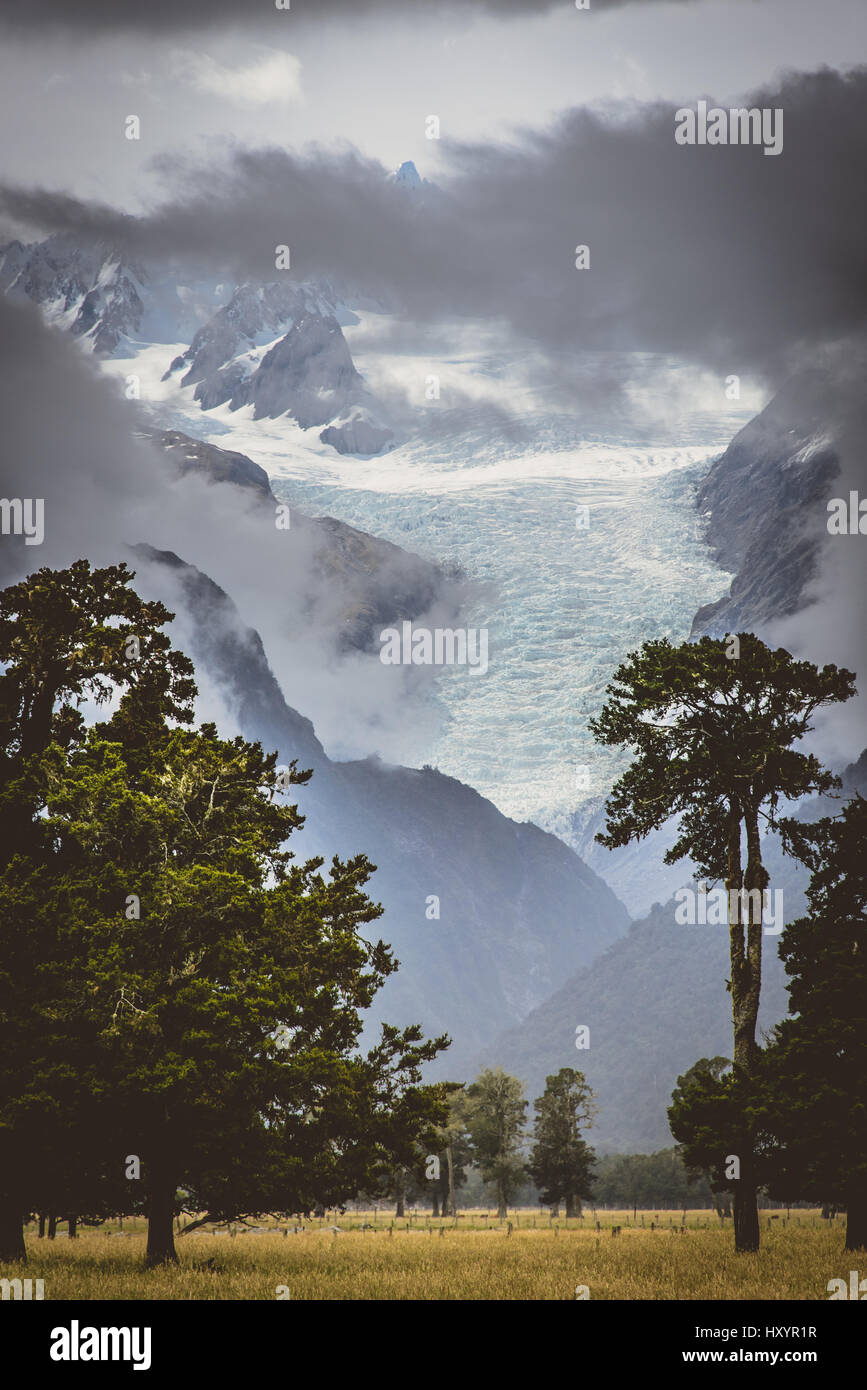 Fox Glacier - Nuova Zelanda Foto Stock