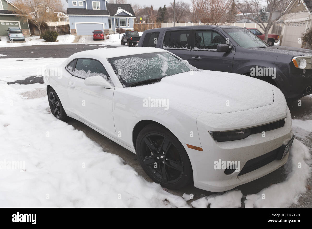 Sport bianco auto parcheggiate in viale innevato in una fredda giornata invernale. Foto Stock