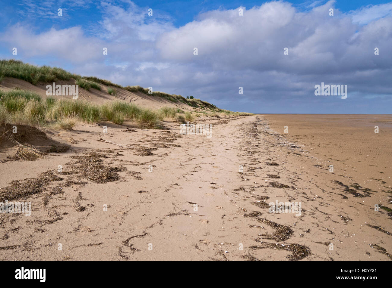 La spiaggia e le dune di sabbia a East Hills, North Norfolk, Inghilterra, Regno Unito. Ottobre 2015. Foto Stock