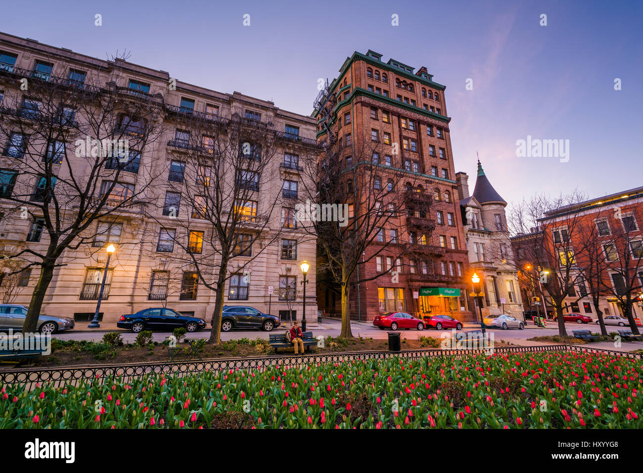 Tulipani e edifici lungo Charles Street a Mount Vernon, Baltimore, Maryland. Foto Stock