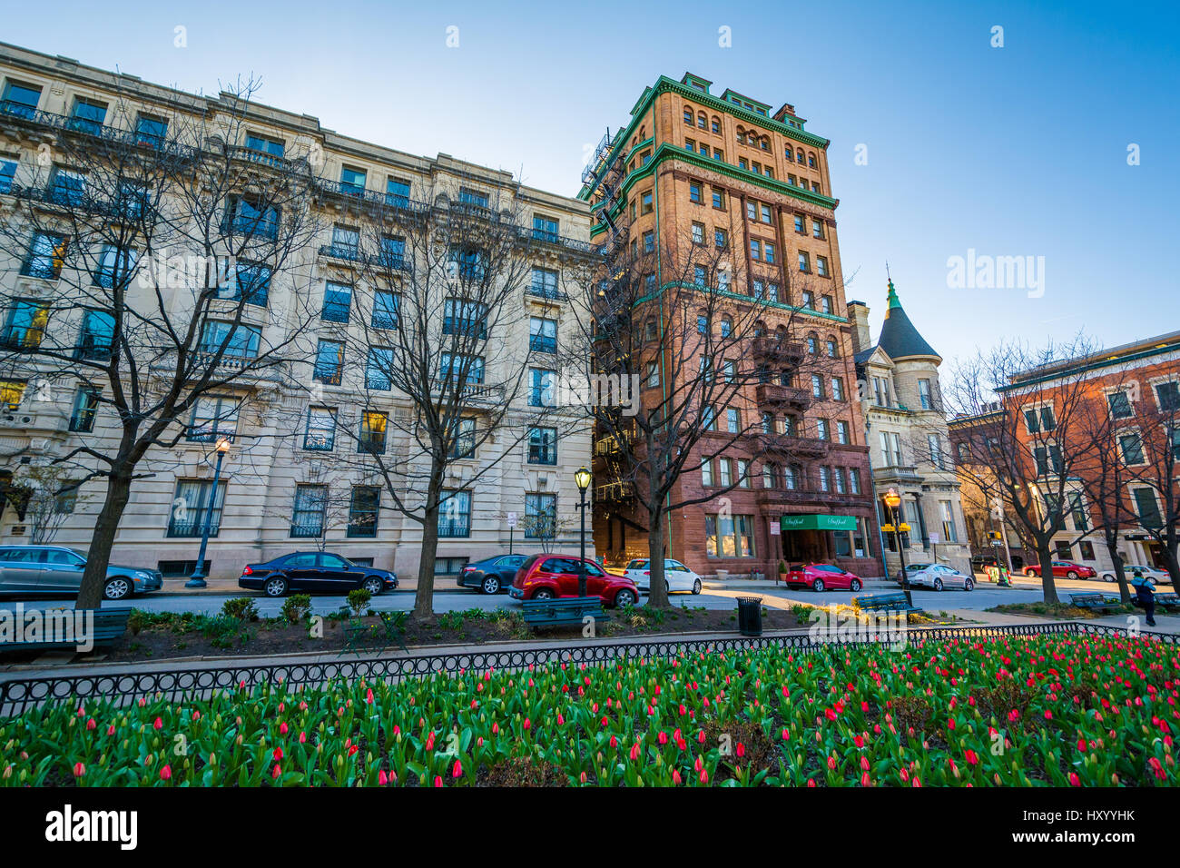 Tulipani e edifici lungo Charles Street a Mount Vernon, Baltimore, Maryland. Foto Stock