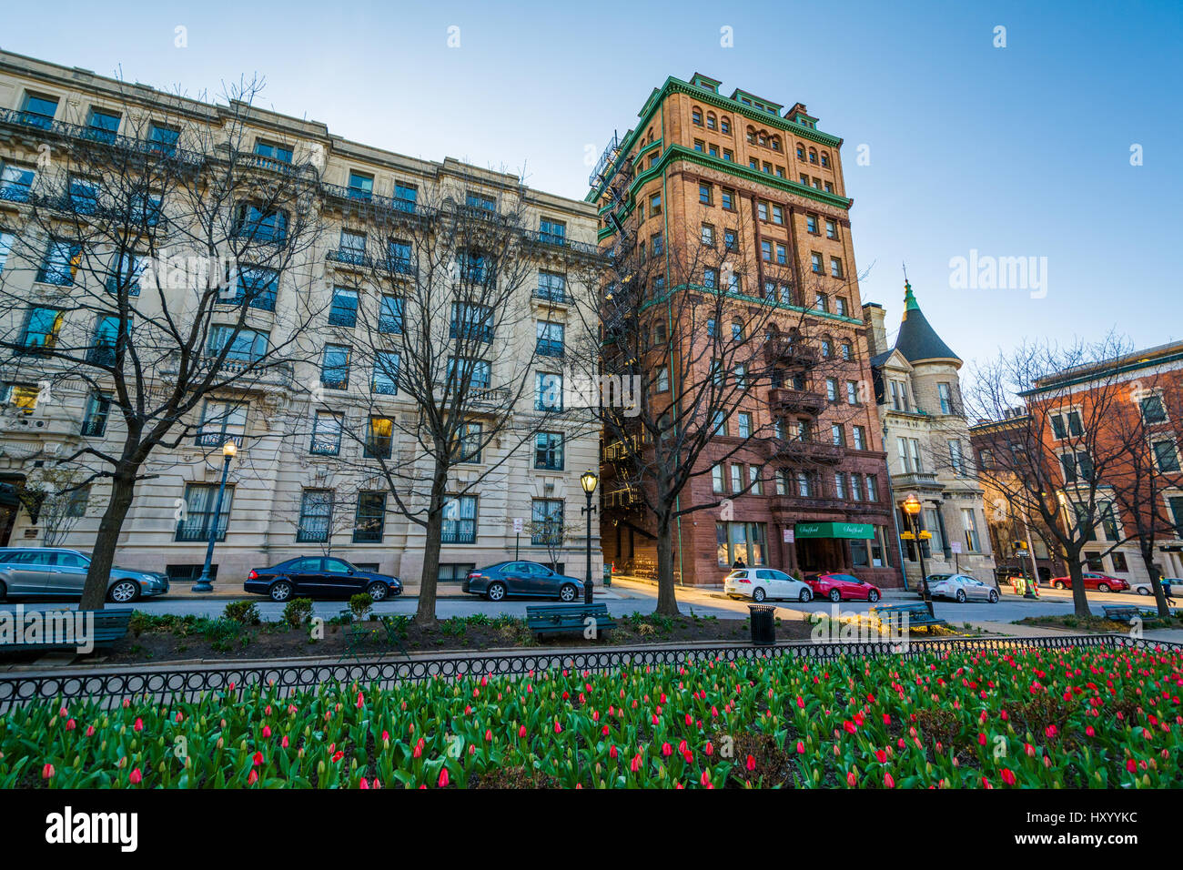 Tulipani e edifici lungo Charles Street a Mount Vernon, Baltimore, Maryland. Foto Stock