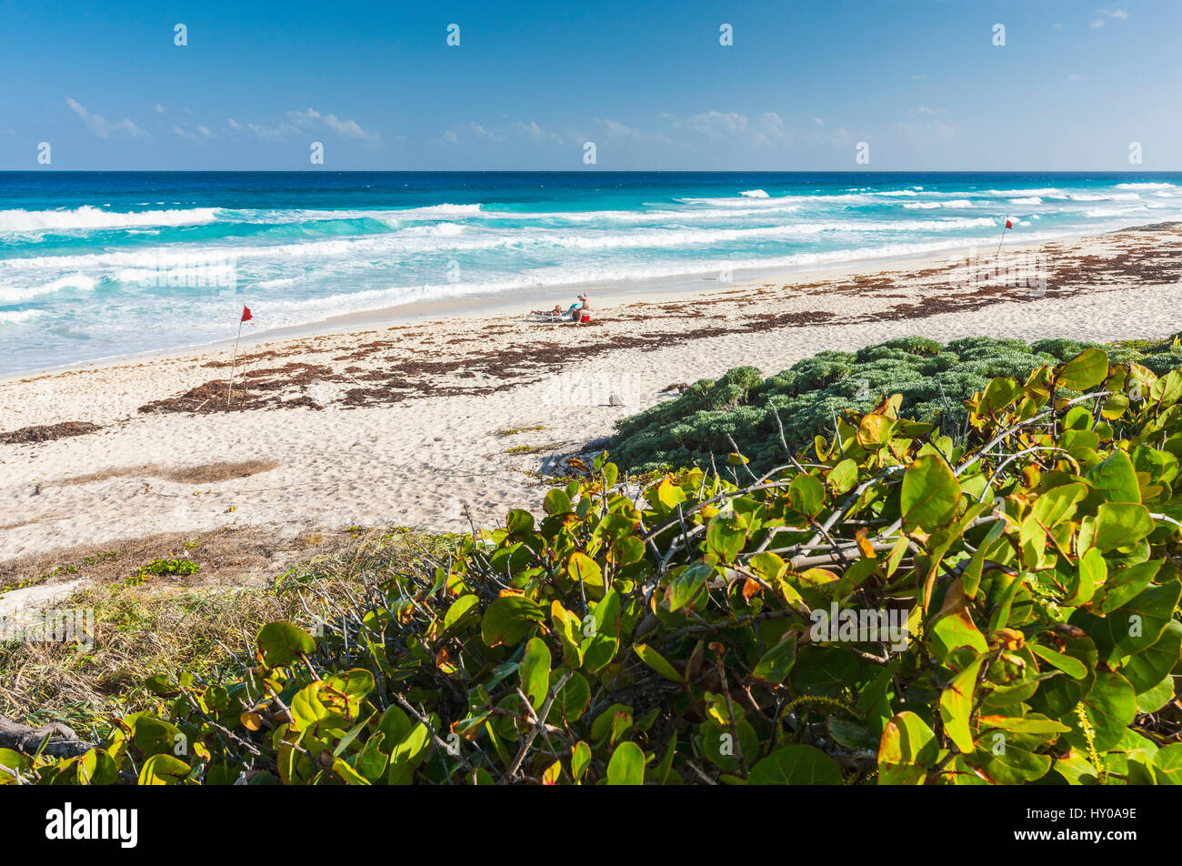 Paesaggio di di Cozumel east side beach Foto Stock