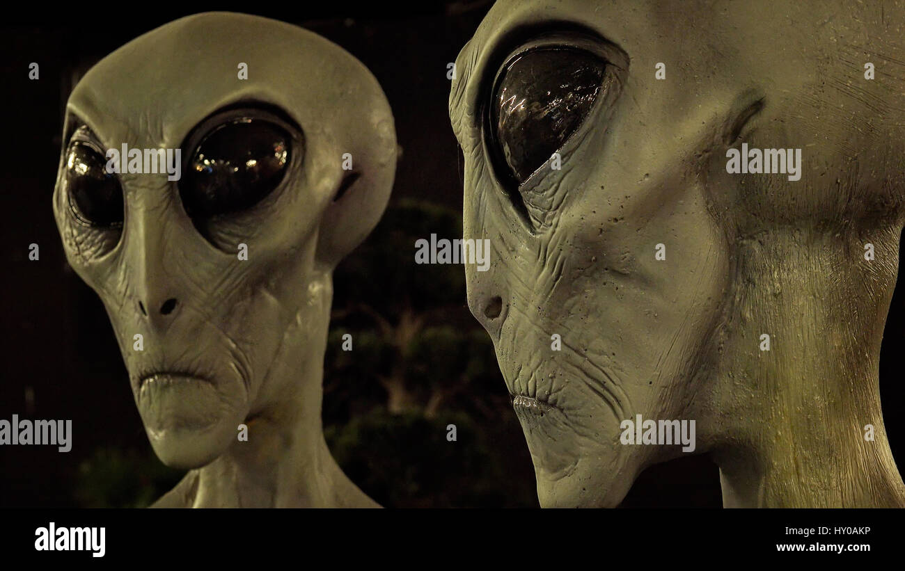 Alien facce con grandi occhi presso l'International UFO Museum e il centro di ricerca a Roswell, New Mexico Foto Stock