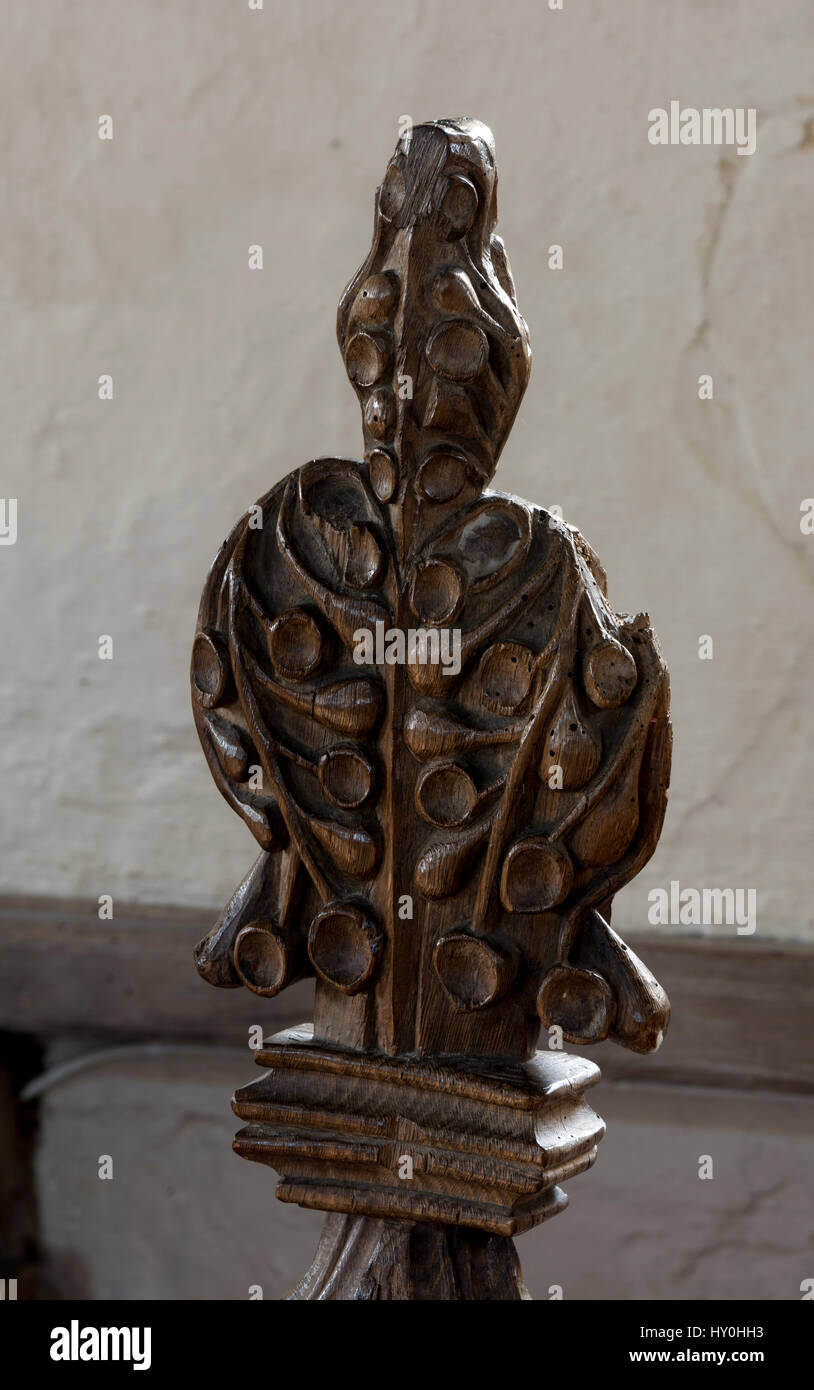 Banco Poppyhead carving nella chiesa di San Pietro, grande Walsingham, Norfolk, Inghilterra, Regno Unito Foto Stock