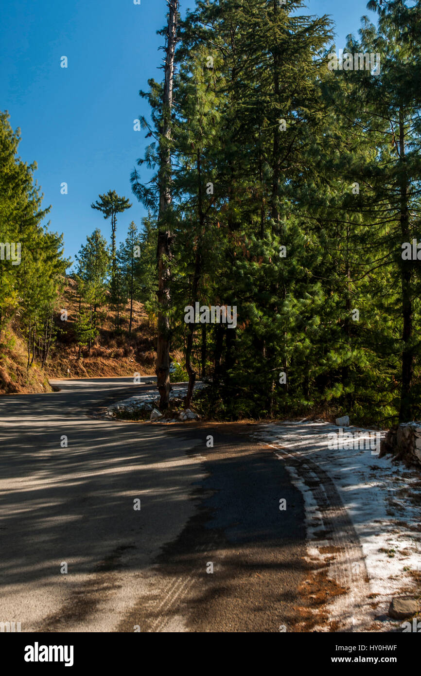 Coperta di neve road, mashobra, Himachal Pradesh, India, Asia Foto Stock