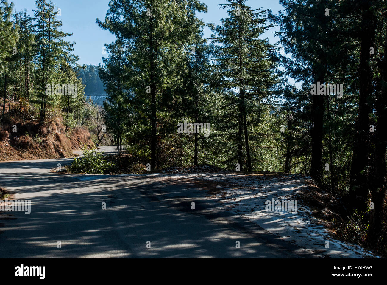 Coperta di neve road, mashobra, Himachal Pradesh, India, Asia Foto Stock