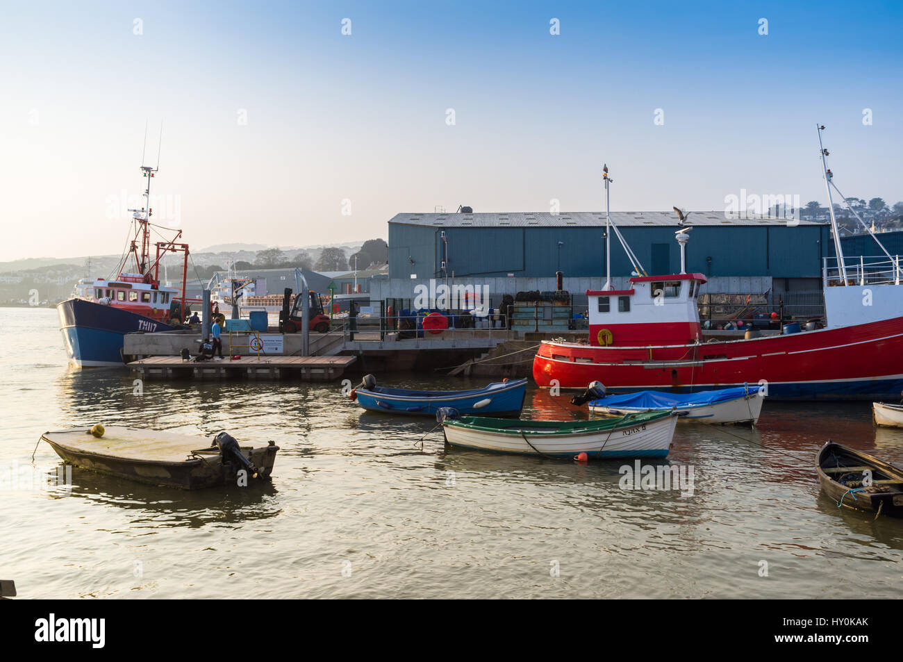 Un peschereccio Teignmouth, docking per scaricare la sua cattura di pesce sul pesce quay a Teignmouth, Devon, Regno Unito. Due giovani maschi sono la pesca su un pontone anche. Foto Stock
