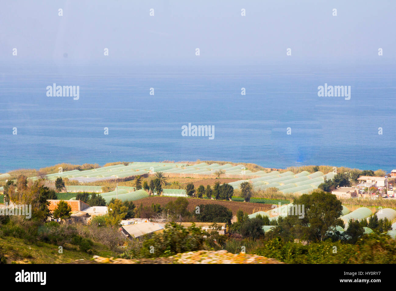 Aiutati dalla tecnologia Olandese, serra la coltivazione di ortaggi è sbocciato lungo la costa mediterranea dell' Algeria . Foto Stock
